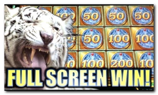 175 Gratis Spins elo am BGO Casino